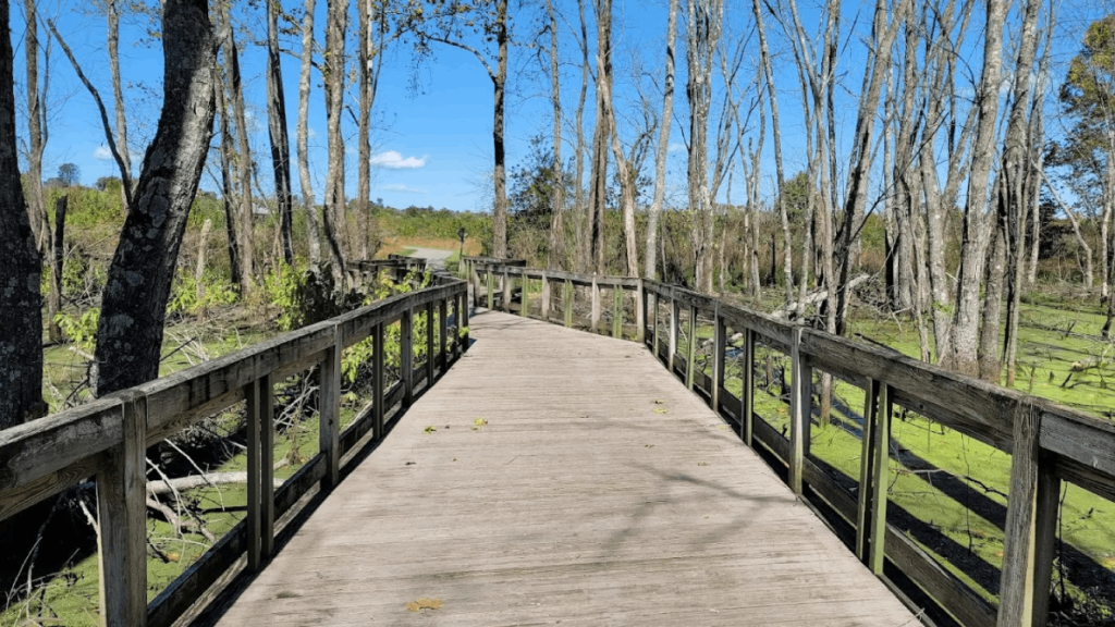 8 Beautiful Overwater Boardwalks in Tennessee You'll Want to Wander This Year
