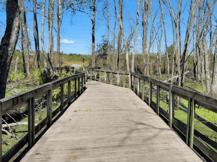 8 Beautiful Overwater Boardwalks in Tennessee You'll Want to Wander This Year