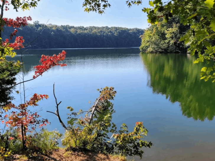 8 Hidden Fishing Spots in Tennessee Where You'll Find Peaceful Shores and Scenic Campsites