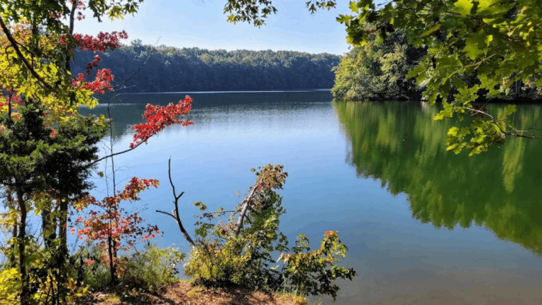 8 Hidden Fishing Spots in Tennessee Where You’ll Find Peaceful Shores and Scenic Campsites