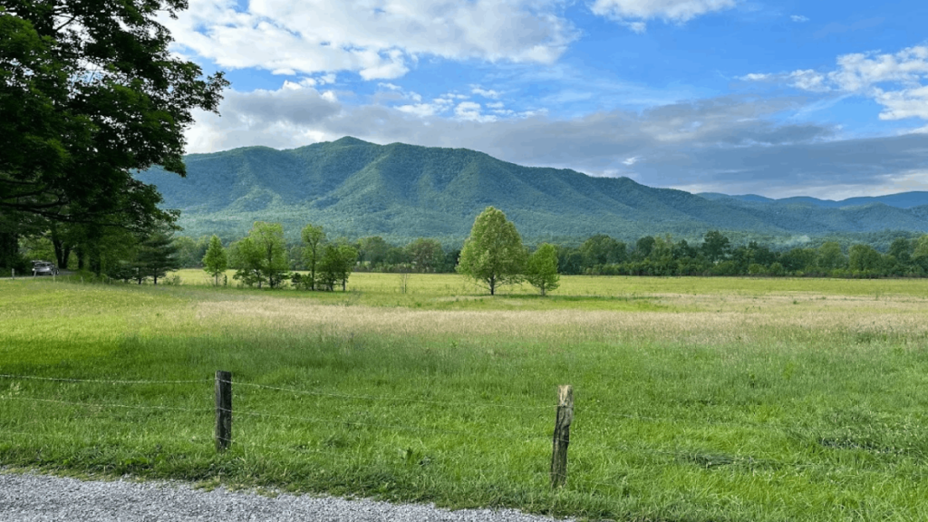 8 Tennessee Mountain Views You Can Enjoy Without Hiking for Hours
