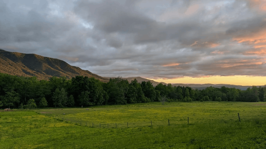 9 Tennessee Hiking Trails That Burst With Color in Spring