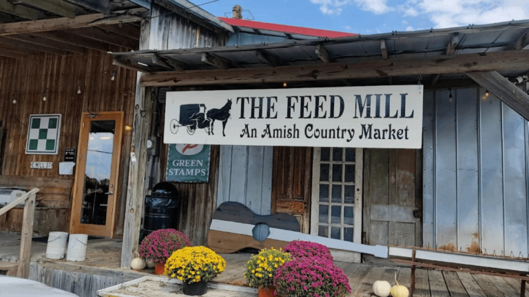 If You’ve Never Spent a Day at This Amish Market in Tennessee, This Is Your Sign to Go