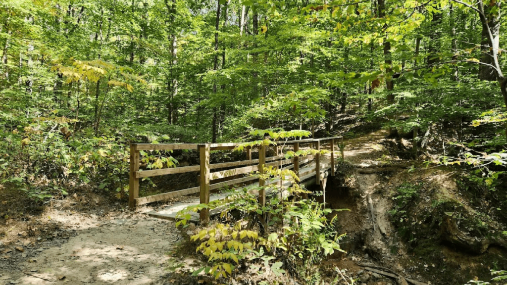 One of Tennessee's Best Parks Has Mountain Biking, Nature Trails, and a Giant Playground