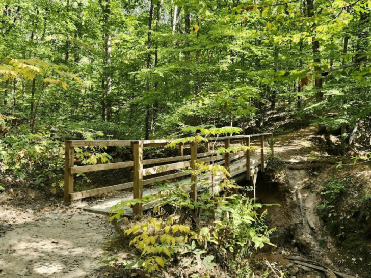 One of Tennessee's Best Parks Has Mountain Biking, Nature Trails, and a Giant Playground