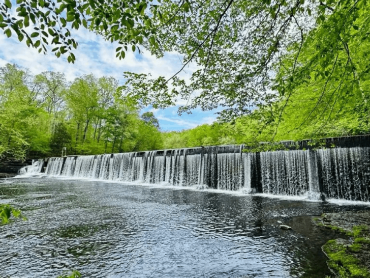 Set Between Two Rivers, This Tennessee State Park Overflows With Wildflowers And Waterfalls