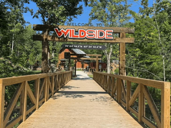 The Ultimate Spring Adventure With a Serious Adrenaline Rush Is Waiting in Tennessee