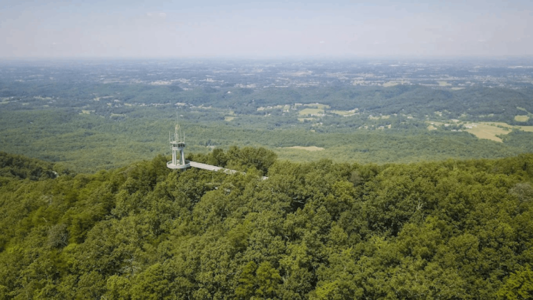 These 7 Underrated Tennessee Hikes Are Too Beautiful to Stay Secret