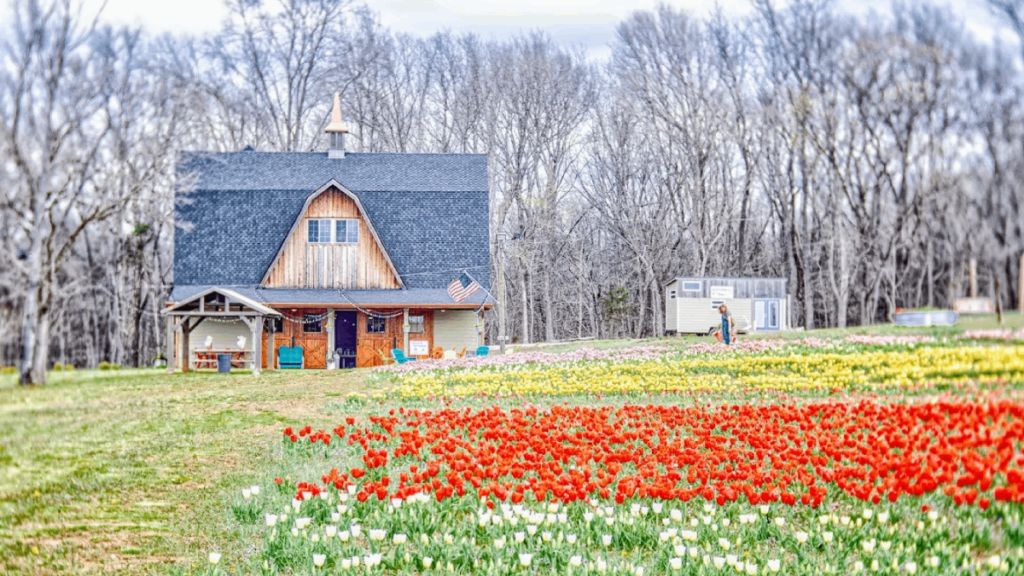 This Charming Tennessee Flower Farm Is a Springtime Dream