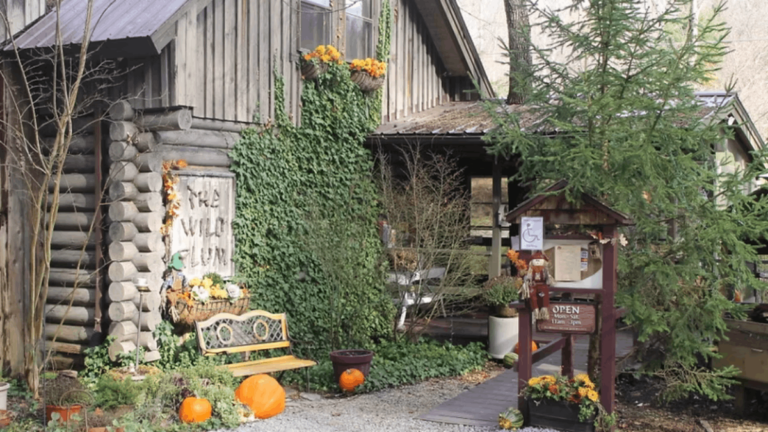 This Charming Tennessee Tea Room Looks Like It Belongs in a Fairy Tale