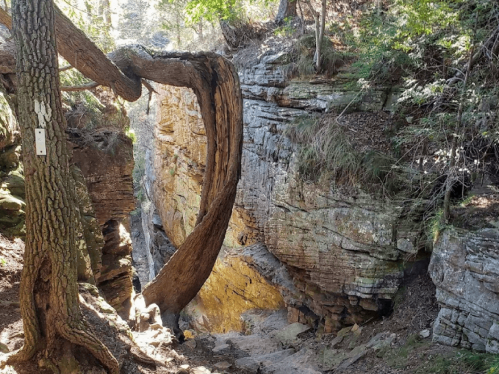 This Hidden Tennessee Trail Takes You Through a Massive Stone Door Into Another World