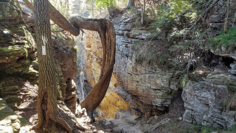 This Hidden Tennessee Trail Takes You Through a Massive Stone Door Into Another World