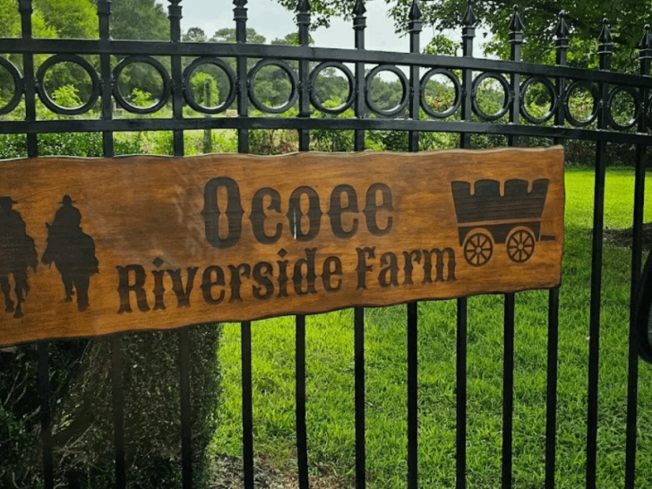 This Tennessee Farm Lets You Feed Kangaroos and Meet Sloths Up Close