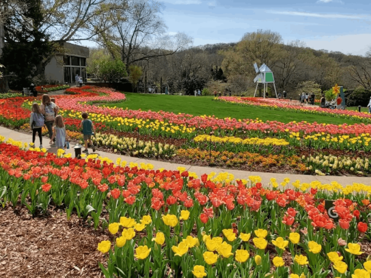 This Tennessee Garden Bursts With 250,000 Tulips Each Spring&mdash;and It's Absolutely Magical