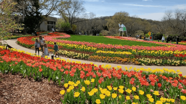 This Tennessee Garden Bursts With 250,000 Tulips Each Spring—and It’s Absolutely Magical