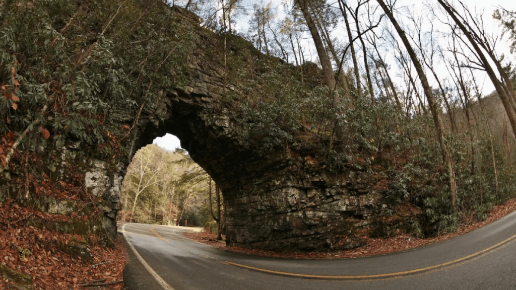 This Tennessee Natural Bridge Opens to Stunning Forest Views