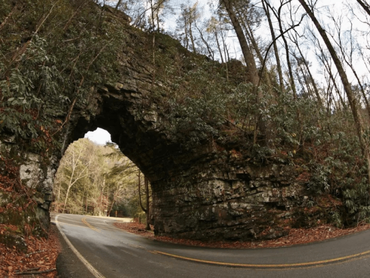 This Tennessee Natural Bridge Opens to Stunning Forest Views