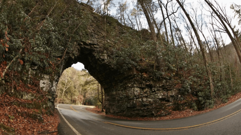 This Must-See Tennessee Tunnel Opens to Stunning Forest Views
