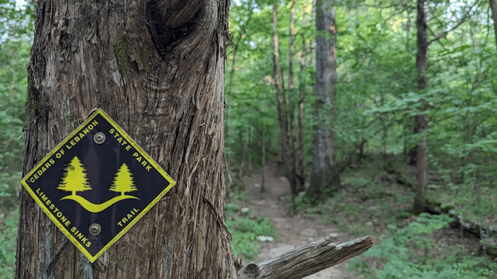 This Tennessee State Park Is Home to One of the Rarest Ecosystems in the U.S.