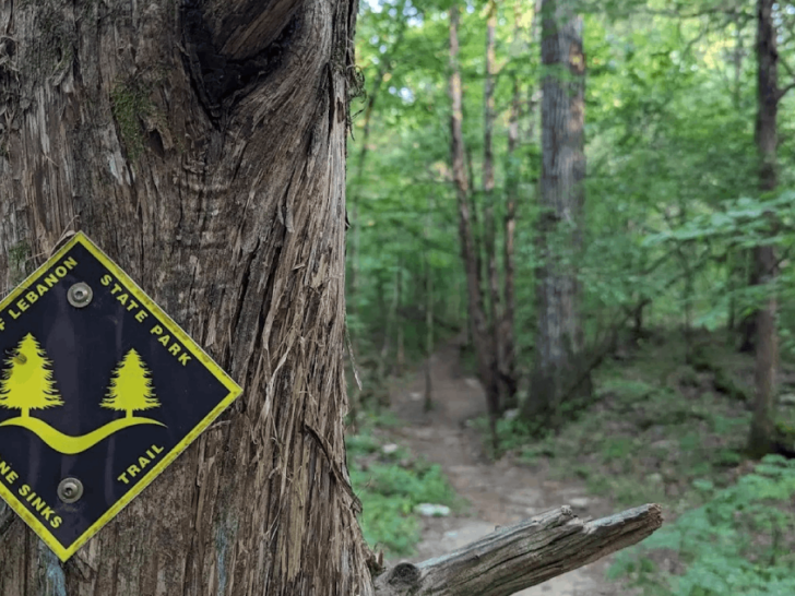 This Tennessee State Park Is Home to One of the Rarest Ecosystems in the U.S.