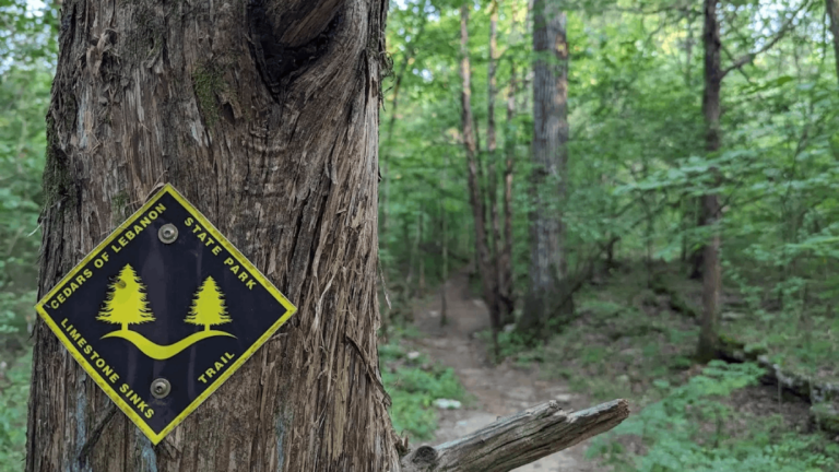This Tennessee State Park Is Home to One of the Rarest Ecosystems in the U.S.