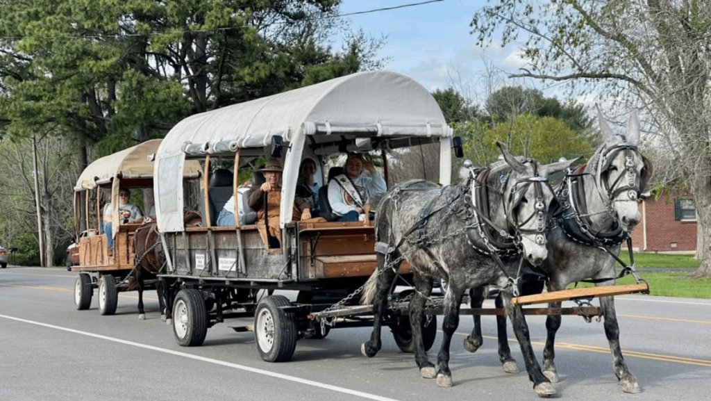 This Tennessee Town Comes Alive Each April for a Beloved Mule Day Tradition