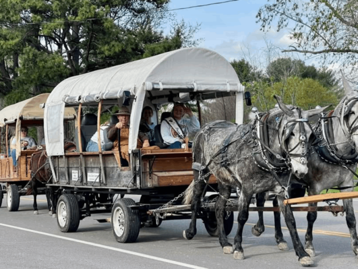 This Tennessee Town Comes Alive Each April for a Beloved Mule Day Tradition