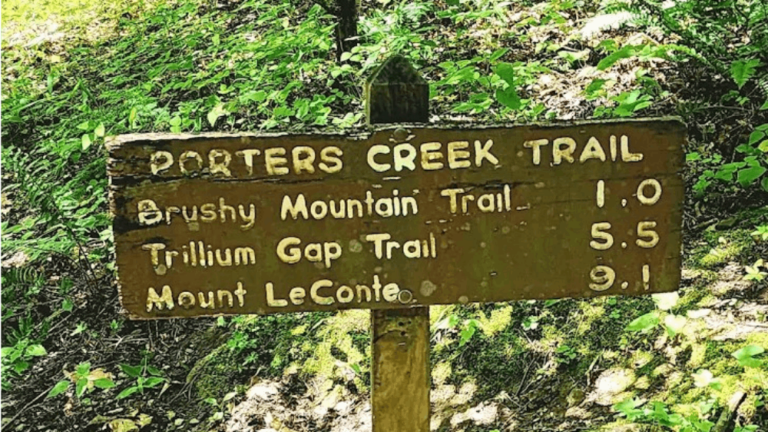 This Tennessee Trail Is One of the Best Places to See Wildflowers in Bloom