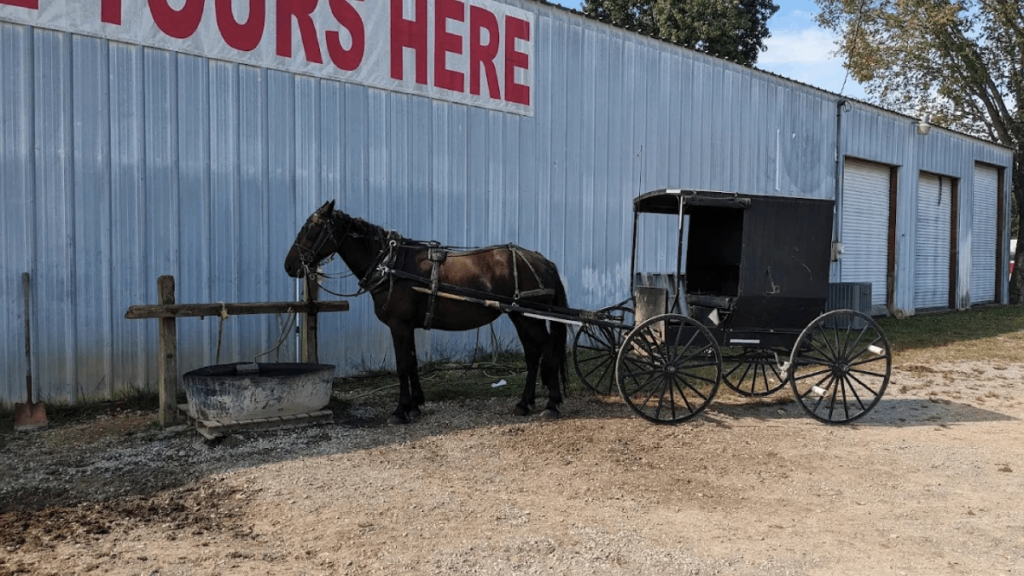 This Tennessee Wagon Ride Is the Best Way to Experience Amish Country