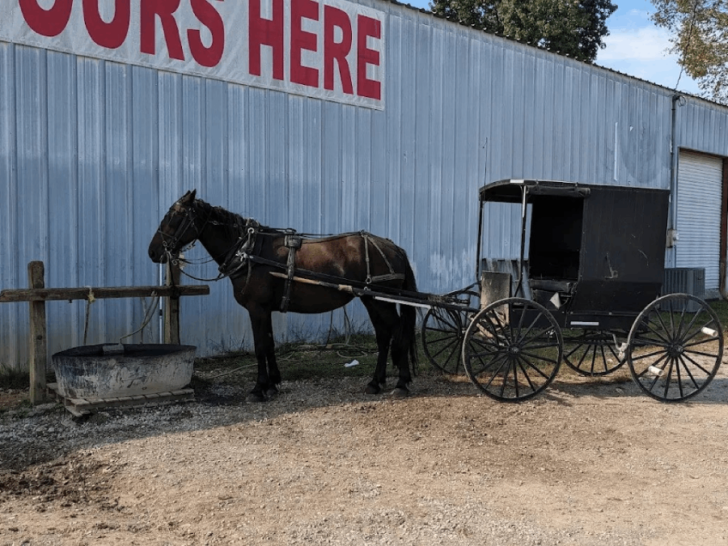 This Tennessee Wagon Ride Is the Best Way to Experience Amish Country