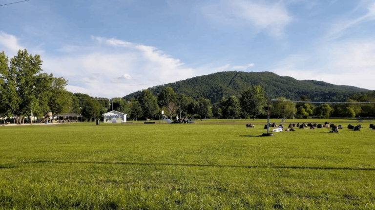 This Underrated Tennessee Town Offers the Slow, Peaceful Life You’ve Been Craving