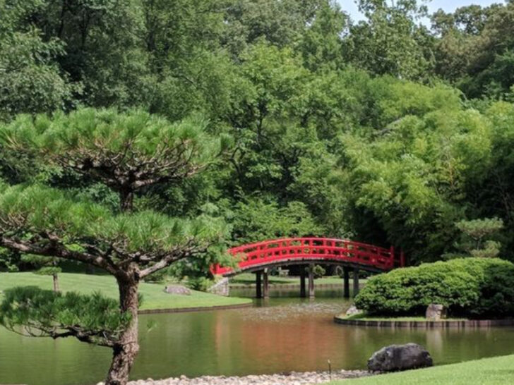 Tennessee&rsquo;s Most Beautiful Urban Oasis Is Right Here in Memphis and It&rsquo;s Massive