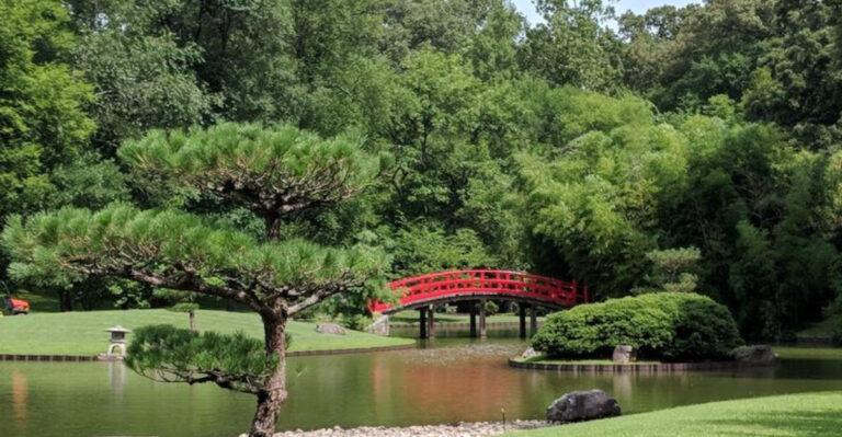 Tennessee’s Most Beautiful Urban Oasis Is Right Here in Memphis and It’s Massive