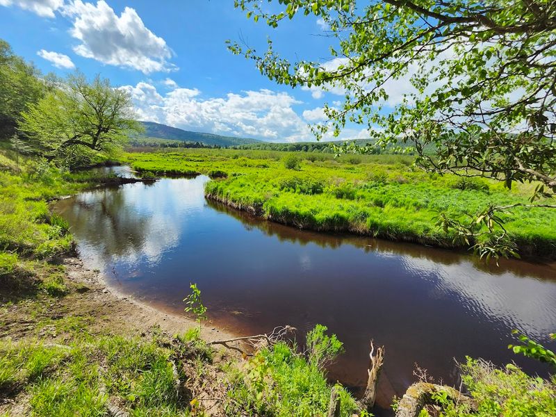 Canaan Valley Resort State Park (Tucker County)