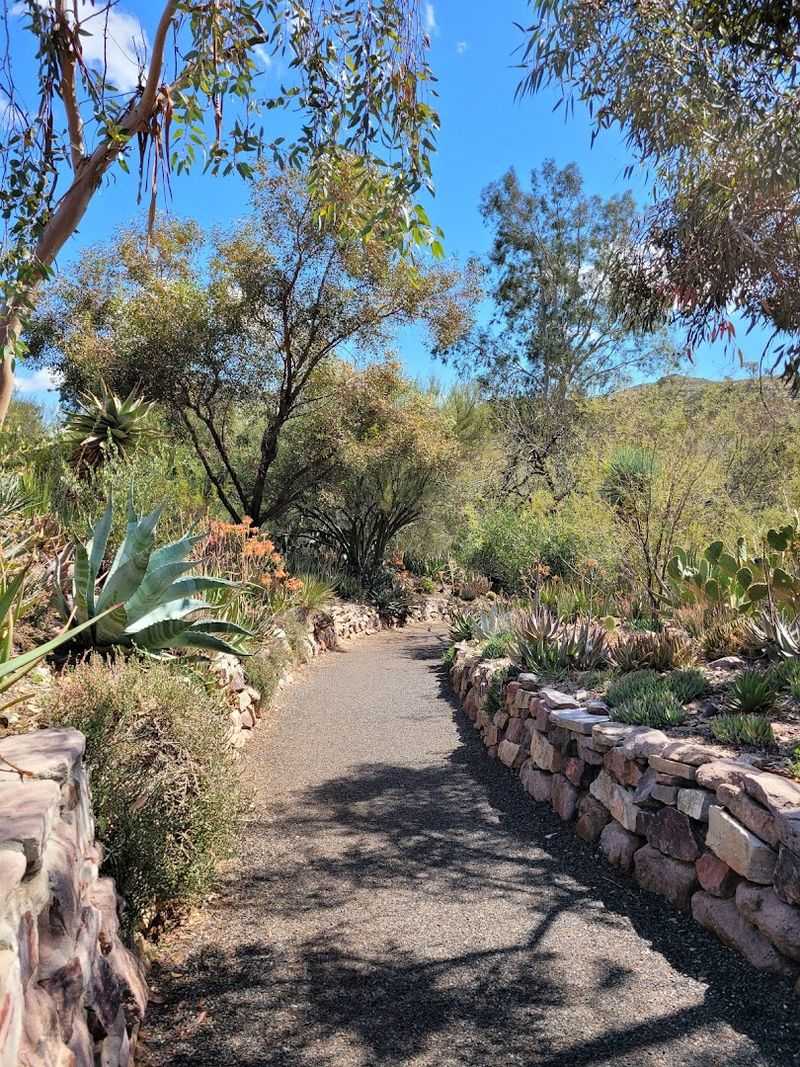 Boyce Thompson Arboretum (Superior, Arizona)