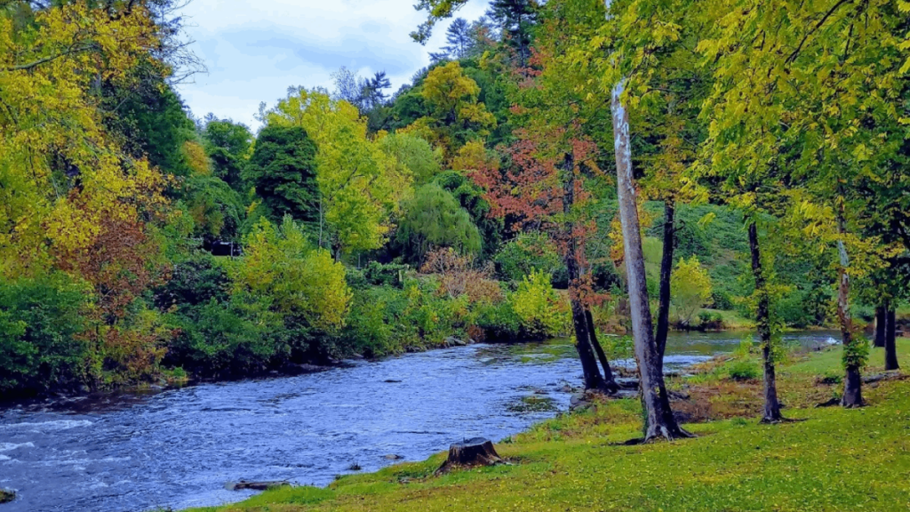 10 Remote Tennessee Towns That Make the Drive Totally Worth It