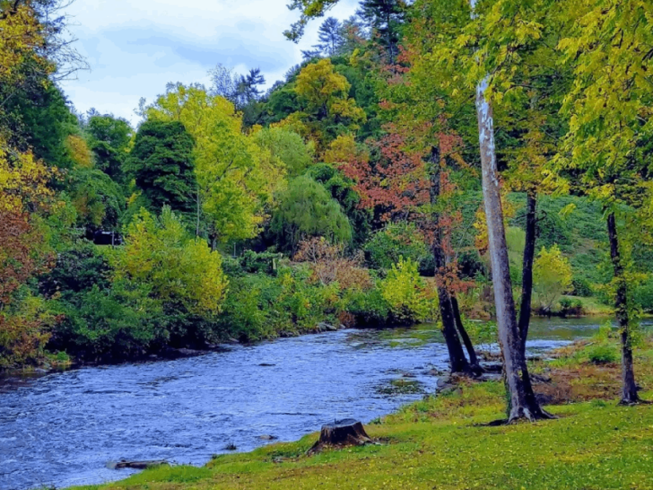 10 Remote Tennessee Towns That Make the Drive Totally Worth It