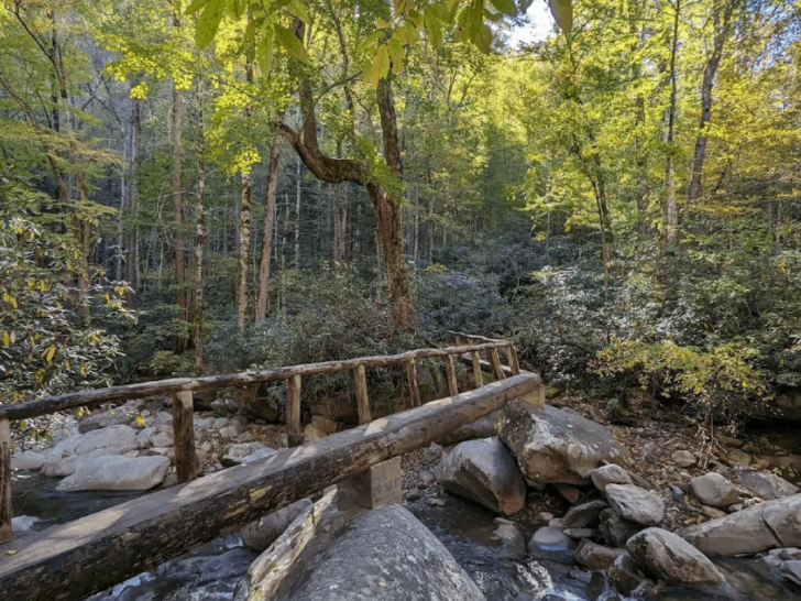 10 Tennessee Hikes That Are Pure Magic From April to Early June