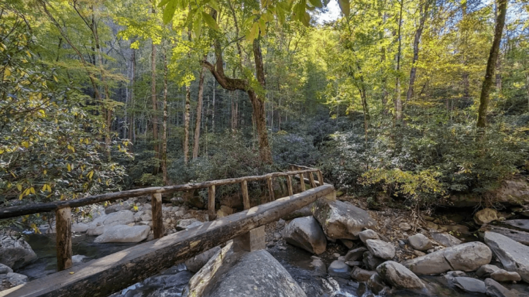 10 Tennessee Hikes That Are Pure Magic From April to Early June