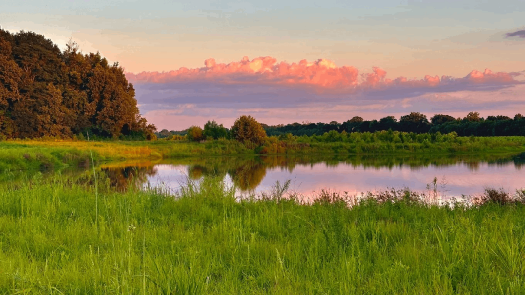 10 Tennessee State Parks With No Entrance Fee and Plenty to Explore