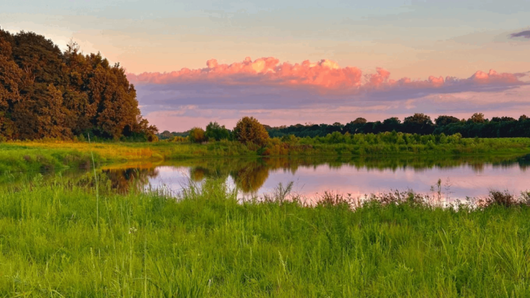10 Tennessee State Parks With No Entrance Fee and Plenty to Explore