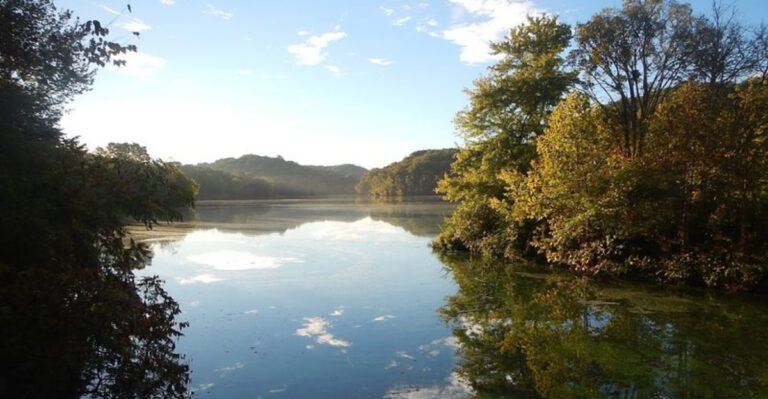 10 Best Bird-Watching Spots In Tennessee Every Local Should Visit At Least Once
