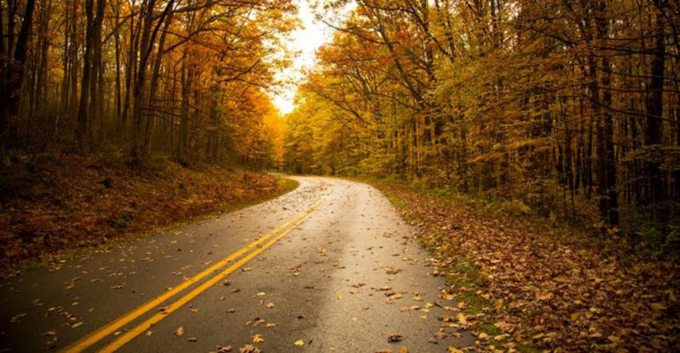 10 Incredible Pennsylvania Drives You’ll Be Raving About For Years