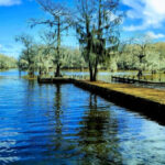 10 Rural Texas Communities That Attract Millions for Reasons You’d Never Expect