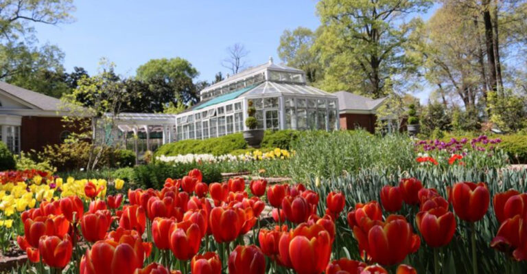 10 Stunning Tennessee Gardens And Arboretums To Enjoy This Spring