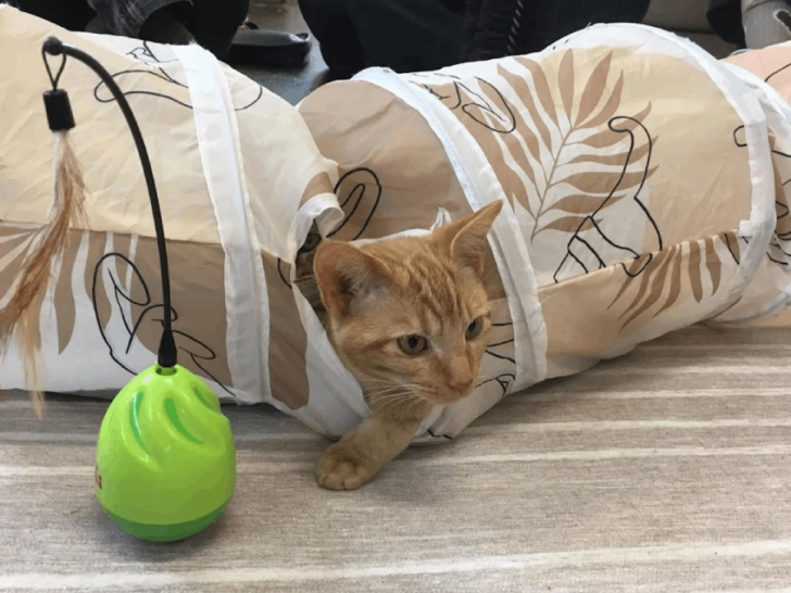 11 Charming Tennessee Caf&eacute;s That Turn an Ordinary Coffee Run into Something Special