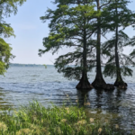 11 Hidden Waterfront Escapes in Tennessee Where Stress Doesn't Stand a Chance