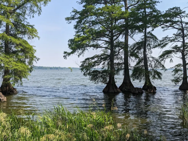11 Hidden Waterfront Escapes in Tennessee Where Stress Doesn't Stand a Chance