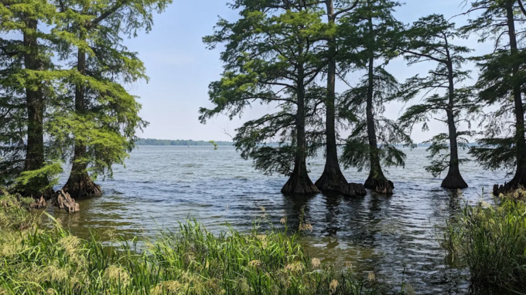11 Hidden Waterfront Escapes in Tennessee Where Stress Doesn’t Stand a Chance