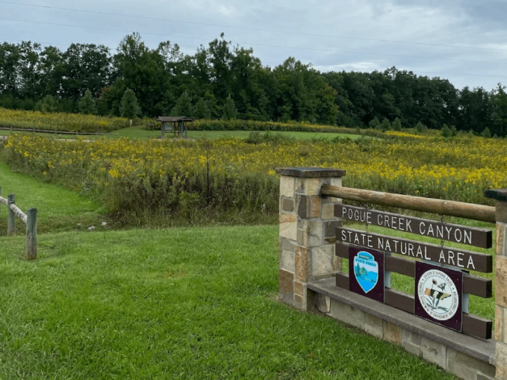 11 Lesser-Known Places in Tennessee That Feel Like Your Own Secret Discoveries